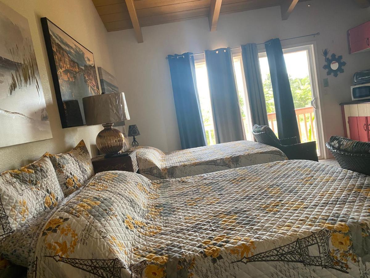 Nice Studio W/ Ac Near Kehena Beach And Lava Fields エクステリア 写真