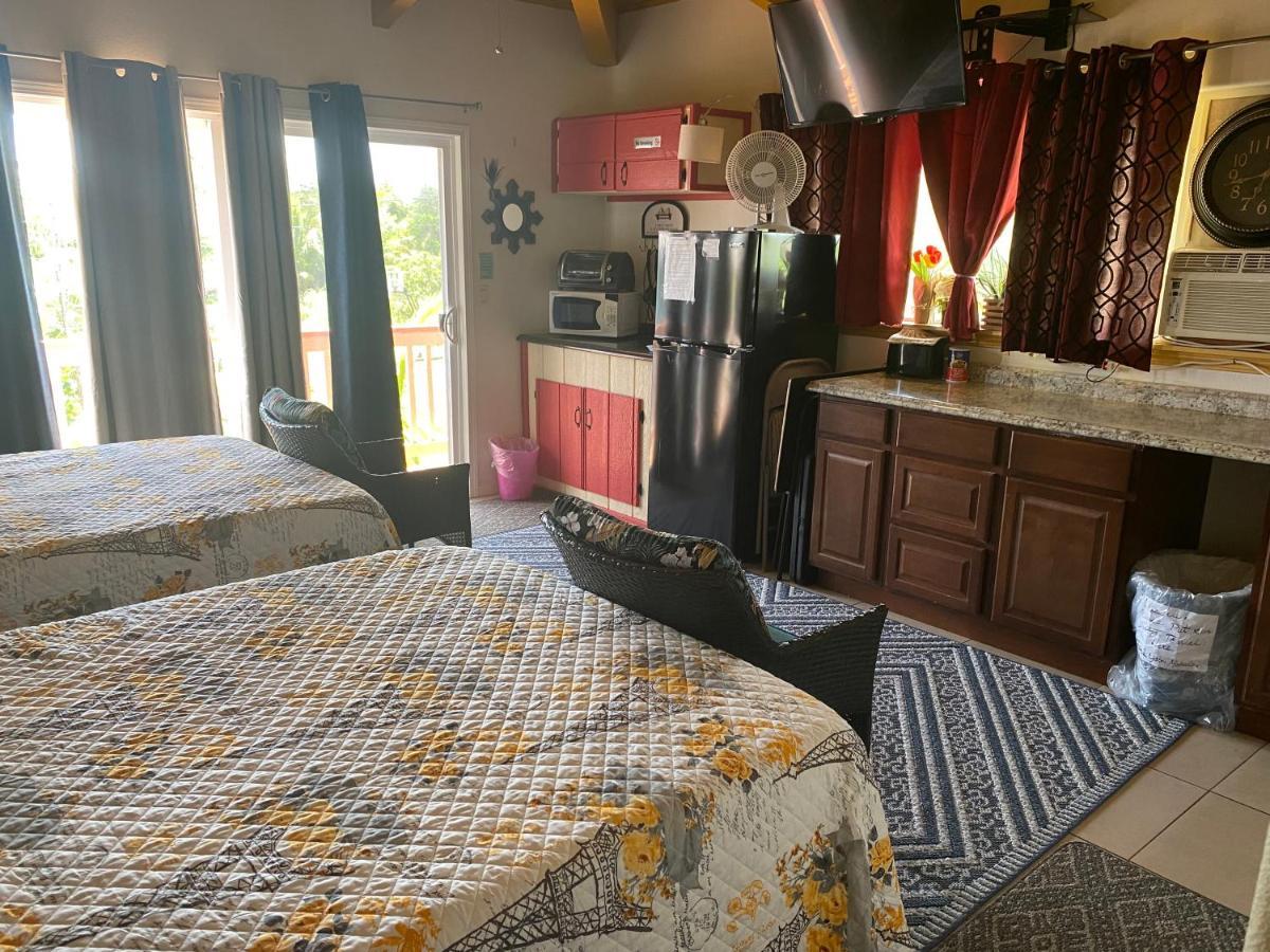 Nice Studio W/ Ac Near Kehena Beach And Lava Fields エクステリア 写真