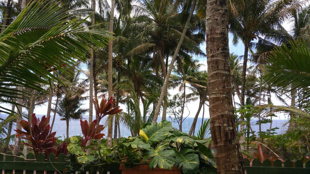 Nice Studio W/ Ac Near Kehena Beach And Lava Fields 部屋 写真