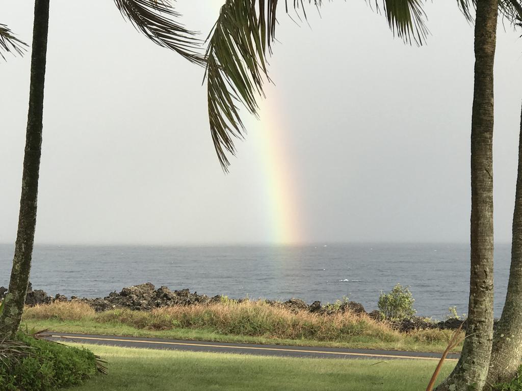 Nice Studio W/ Ac Near Kehena Beach And Lava Fields エクステリア 写真